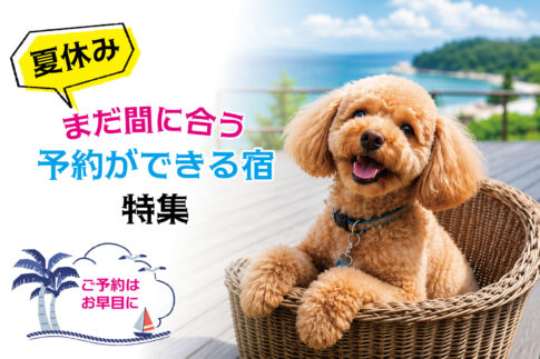 愛犬と泊まれる宿の夏特集「「夏休み まだ間に合う予約ができる宿 特集（ご予約はお早めに）」