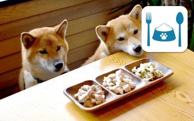 犬用の食事を提供している宿