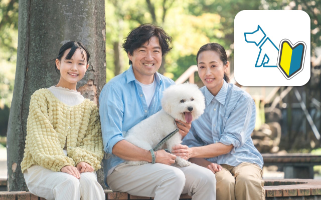初めてのペット同伴旅行でも安心な宿
