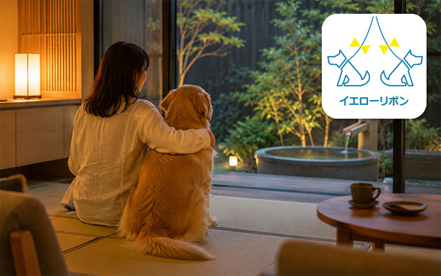 人や他の犬が苦手な子でも宿泊しやすいプライベート重視な宿