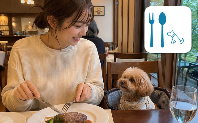 愛犬と一緒にレストランや食堂で食事ができる宿