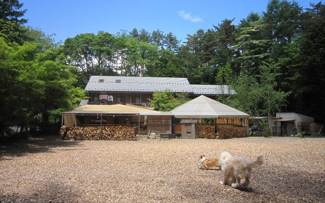 山梨県・河口湖にある犬と泊まれるペンション「モンターニャ」にある広いウッドチップのドッグラン。元気に走り回る愛犬(コーギーなど)と緑豊かな自然に囲まれた施設外観