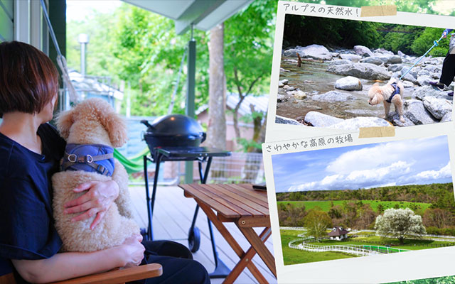 山梨県八ヶ岳にある愛犬と泊まれる貸別荘「ポチテラス八ヶ岳」のテラス席でBBQグリルと並んでくつろぐトイプードルと飼い主。川遊びや高原の牧場を満喫する犬連れ夏休み旅行の様子