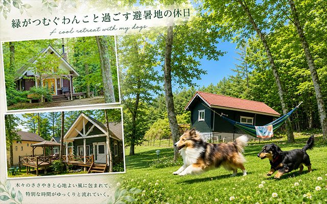 山梨県八ヶ岳の愛犬と泊まれるコテージ「ゆがふ・八ヶ岳」の広い芝生ドッグランを駆けるシェルティとダックスフンド。「緑がつむぐわんこと過ごす避暑地の休日」