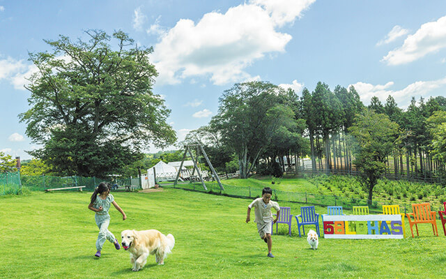 栃木県・矢板市の愛犬と泊まれる宿「58ロハス」｜広々とした緑の芝生広場で犬と一緒に元気に走る子供たち。家族で楽しむアウトドアアクティビティ。参考価格8,900円〜