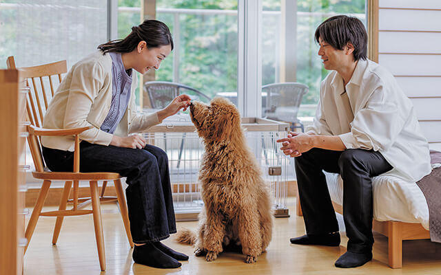 栃木県・那須塩原の愛犬と泊まれる宿「わんわんパラダイスプレミア塩原」｜和室で愛犬とくつろぐ夫婦。犬に食事を与える女性と、優しく見守る男性。ペット可の宿。参考価格16,600円〜