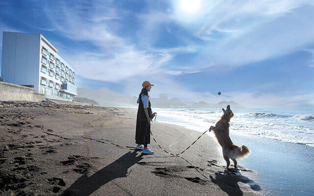 千葉県・鴨川の愛犬と泊まれる宿「レジーナリゾート鴨川」の前の砂浜で愛犬と遊ぶ女性。海沿いのペット同伴可能なリゾートホテル。参考価格 26,400円〜