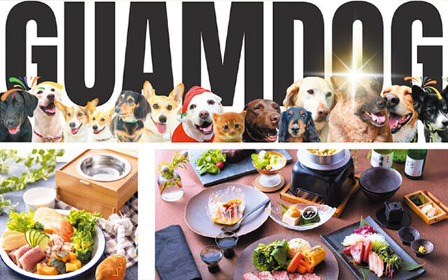 神奈川県・箱根の愛犬と泊まれる宿「箱根強羅グアムドッグ」様々な犬種の笑顔が並ぶGUAMDOG本店のメインビジュアルと豪華なペット用・人用お食事膳。参考価格 33,500円〜