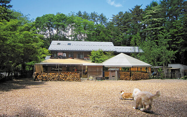山梨県・河口湖の愛犬と泊まれる宿「モンターニャ」の外観とウッドチップが敷き詰められた広大なドッグランで遊ぶ犬たち。参考価格 19,800円〜