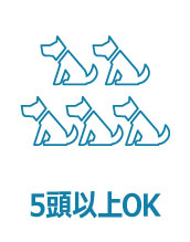 5頭以上の宿泊が可能です