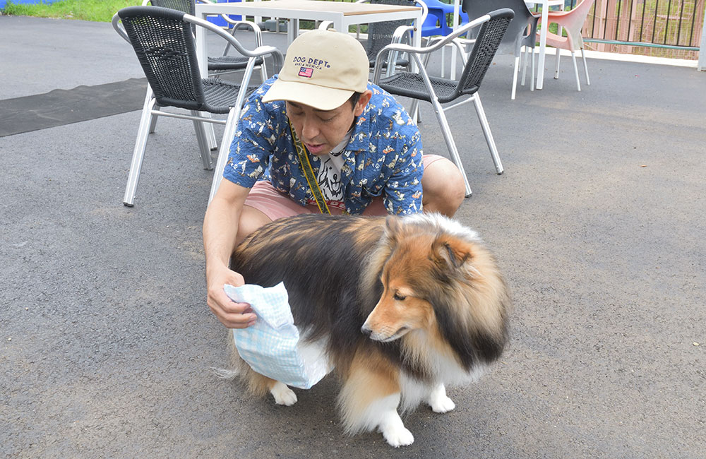 「さがみ湖MORIMORI」マナーベルト着用で安心