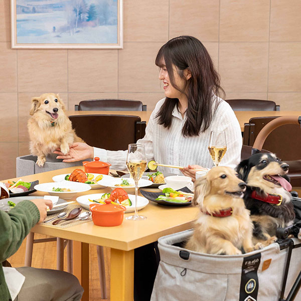 栃木県の犬と泊まれる宿「わんわんパラダイスプレミア塩原」は、愛犬同伴で食事が可能。愛犬と一緒に食事が楽しめます