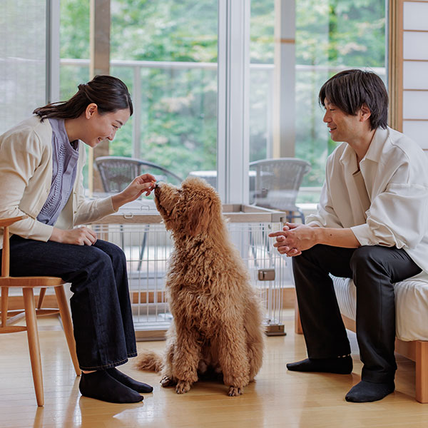 栃木県の犬と泊まれる宿「わんわんパラダイスプレミア塩原」の客室で愛犬と過ごす様子
