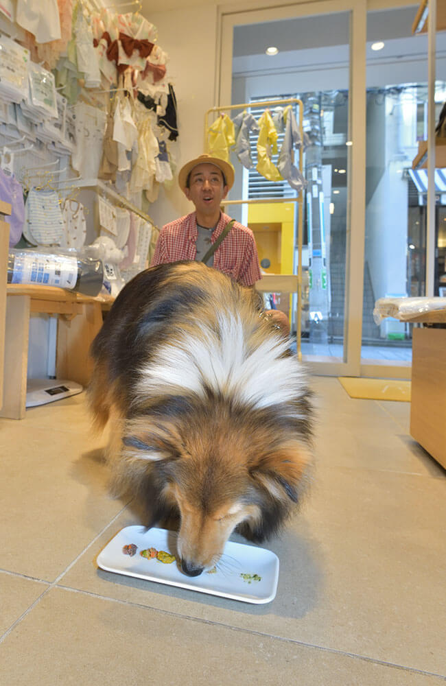 横浜・元町にある愛犬の手作りごはんやおやつを販売しているショップ「HITOWAN」の試食を完食