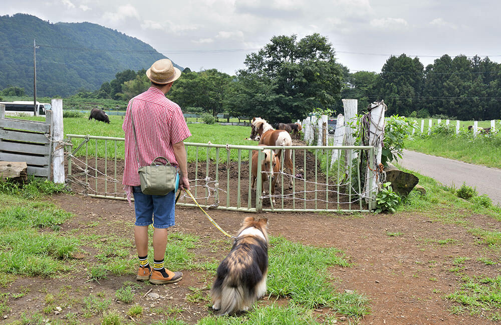 牧場の様子を伺う、松本秀樹さんとスタッフ犬「アンディ(シェルティ)」