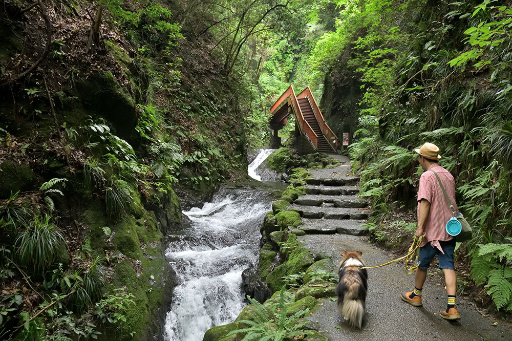 神奈川県愛甲郡にある塩川滝
