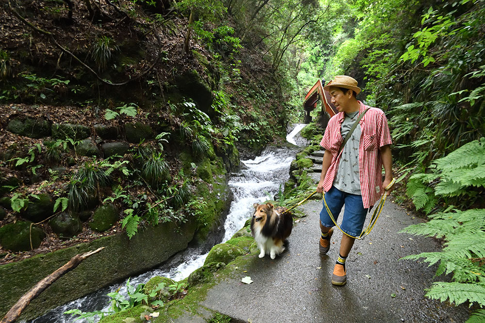 神奈川県愛甲郡にある塩川滝