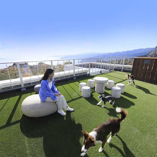 ゆるり熱海withDOGSの露天風呂。屋上ドッグランで愛犬が走る様子