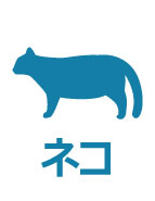 ネコが宿泊可能です