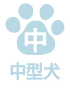 中型犬は宿泊不可です