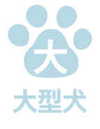 大型犬は宿泊不可です