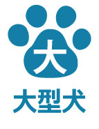 大型犬が宿泊可能です