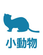 小動物が宿泊可能です