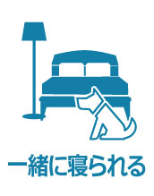 一緒に寝られます。添い寝OK