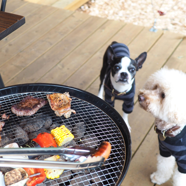 福島県 白河 エンゼルフォレスト白河高原- 部屋食BBQ 愛犬と一緒